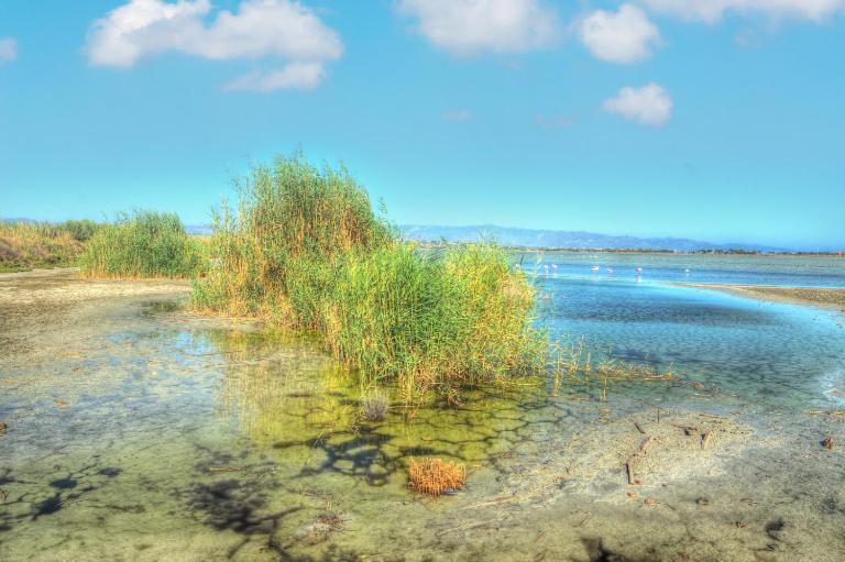 Zen Beach Home Quartu Sant'Elena Bagian luar foto